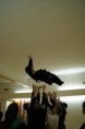 /album/fotogaleria/a60951-10151303592984581-754462703-n-jpg/